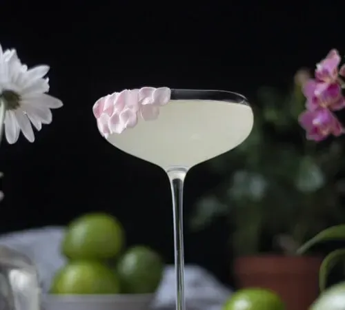 ricetta-cocktail-cocco-fiori-d'arancio-anejo-margarita-05' title=