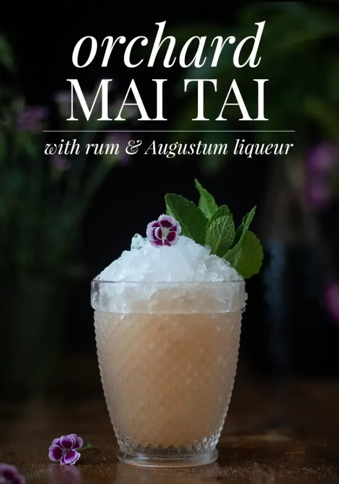 orchard-mai-tai-receta-de-cóctel-pin-5713266' title=