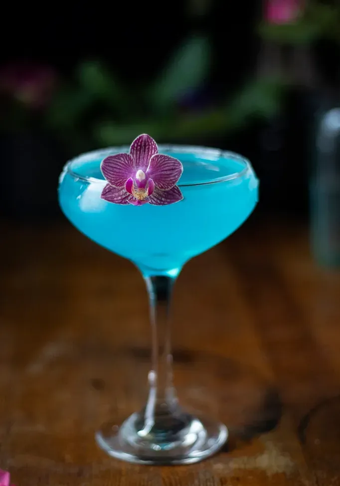 ジャスミン-エルダーフラワー-ダイキリ-クローズアップ-1022931' loading='lazy' title=