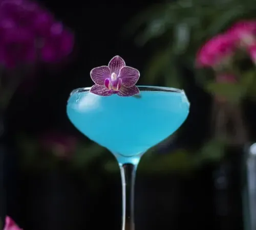 Jasmine-Elderflower-Daiquiri-Cocktail' title=