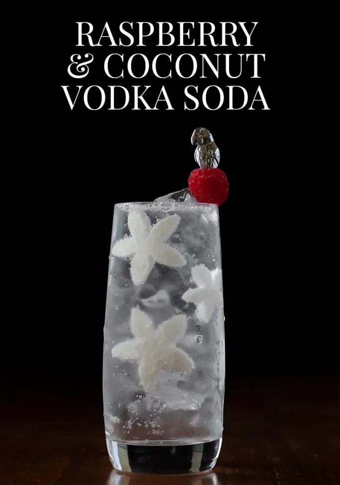 라즈베리-코코넛-보드카-소다-칵테일-레시피-4208894' loading='lazy' title=