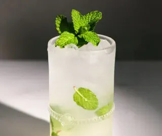 un vaso alto lleno de una bebida burbujeante con hojas de menta.' title=