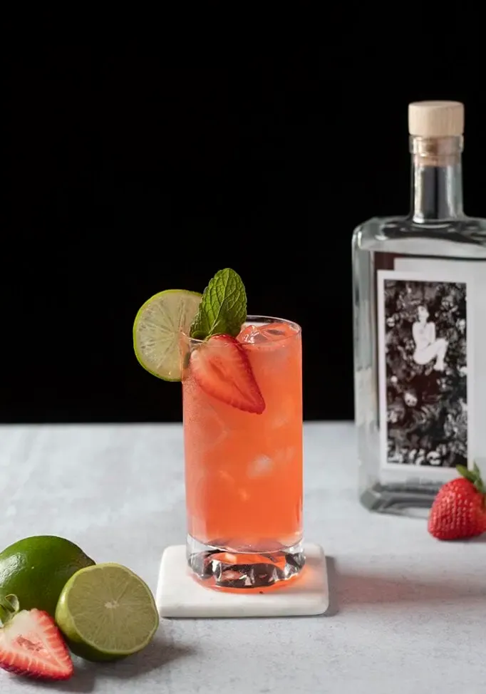 un cóctel de naranja en un vaso alto adornado con lima y fresa' title=