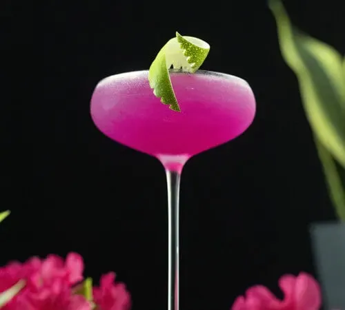 背の高いクーペグラスにライムのひねりを加えたネオンピンクのカクテル' title=