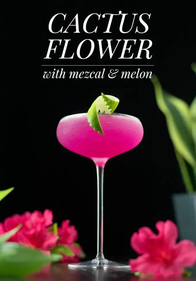 サボテン-フラワーピン-9996064' title=