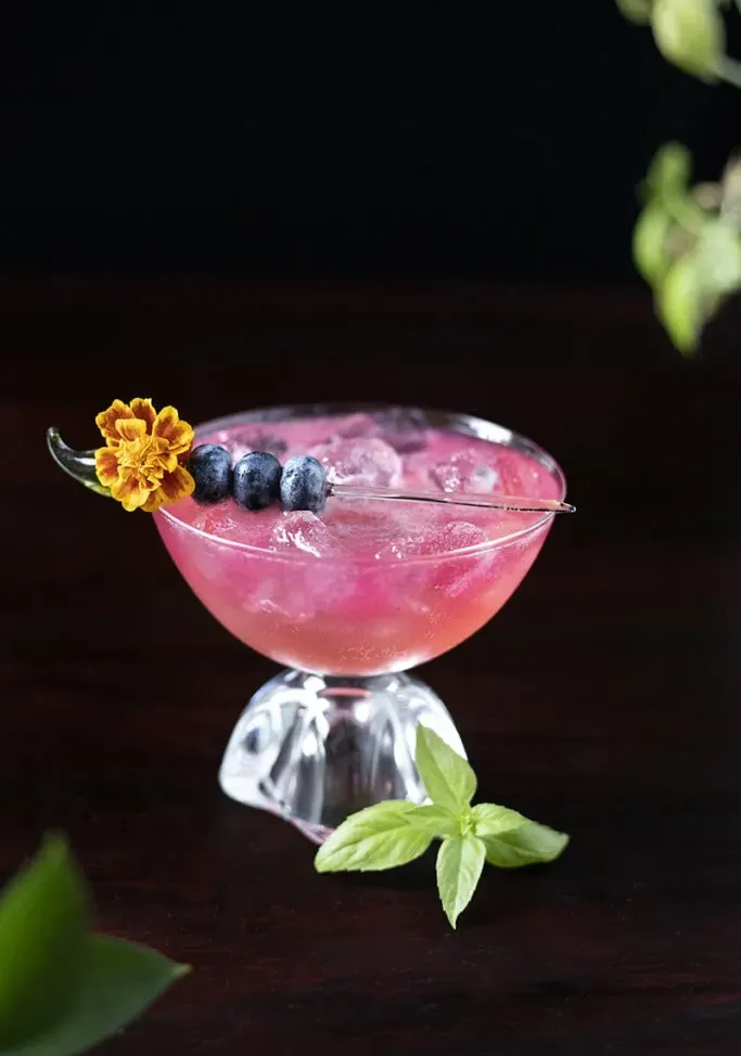 bebida rosa em um copo cupê com mirtilos e uma pequena flor de laranjeira.' title=