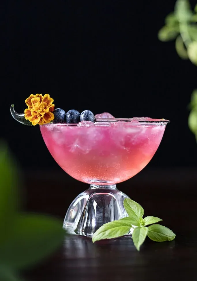 Blaubeer-Basilikum-Jun-Kombucha-Mocktail