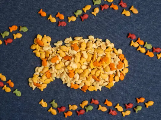 Cada sabor de peixe dourado que pudemos encontrar, testado e classificado