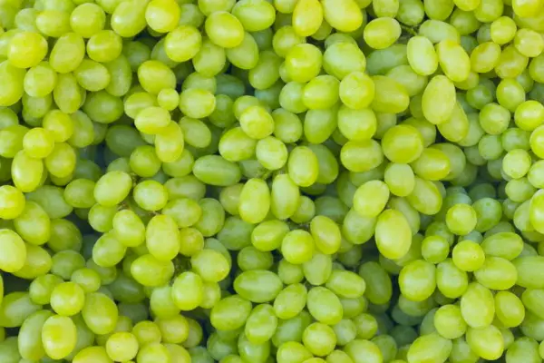 Cotton Candy Grape Watch: Welche Geschäfte haben sie?