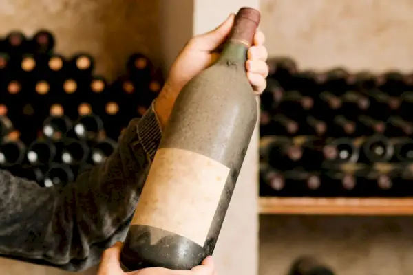 Especialistas dizem que esta garrafa de vinho de 1.700 anos provavelmente ainda pode ser bebida