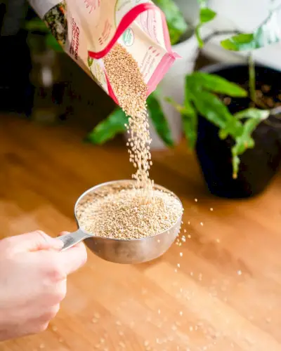 Einfache Quinoa-Rezepte