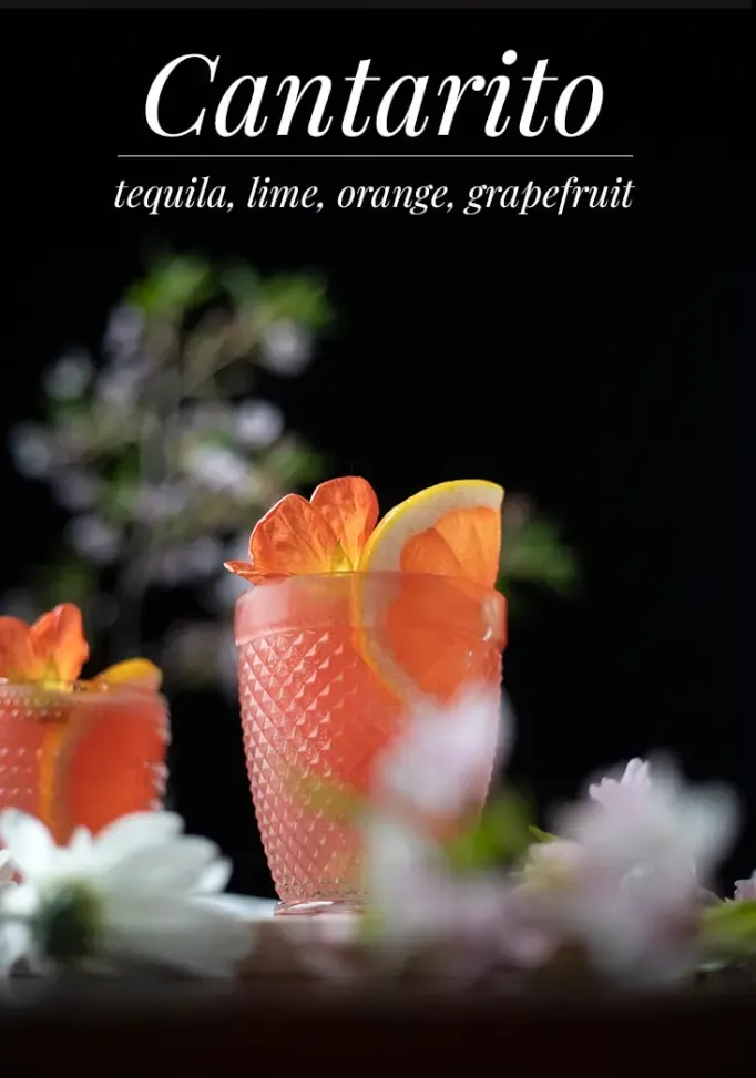 cantarito-pin-1-7591793' title=