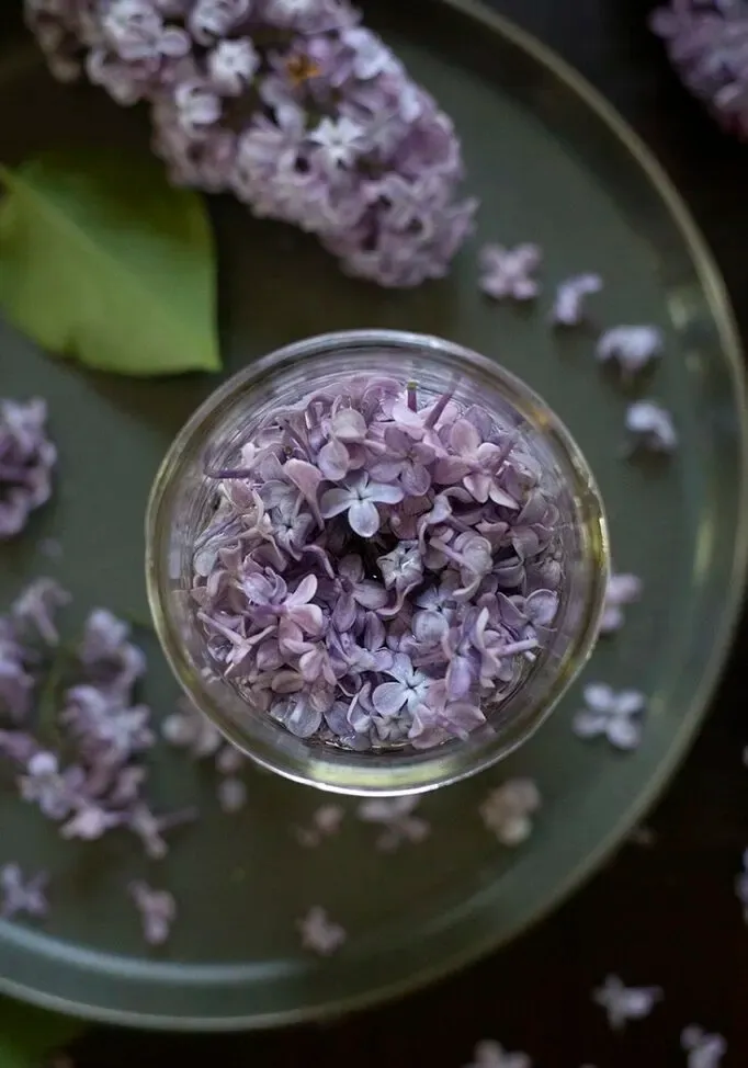 Ako si vyrobiť orgovánový jednoduchý sirup' loading='lazy' title=