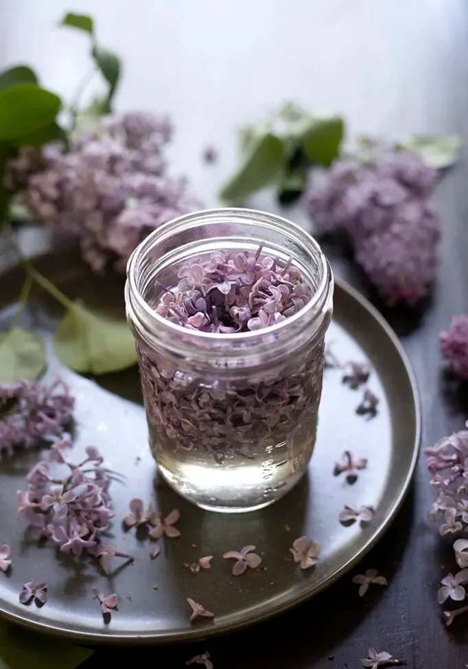 Ako si vyrobiť orgovánový jednoduchý sirup' loading='lazy' title=