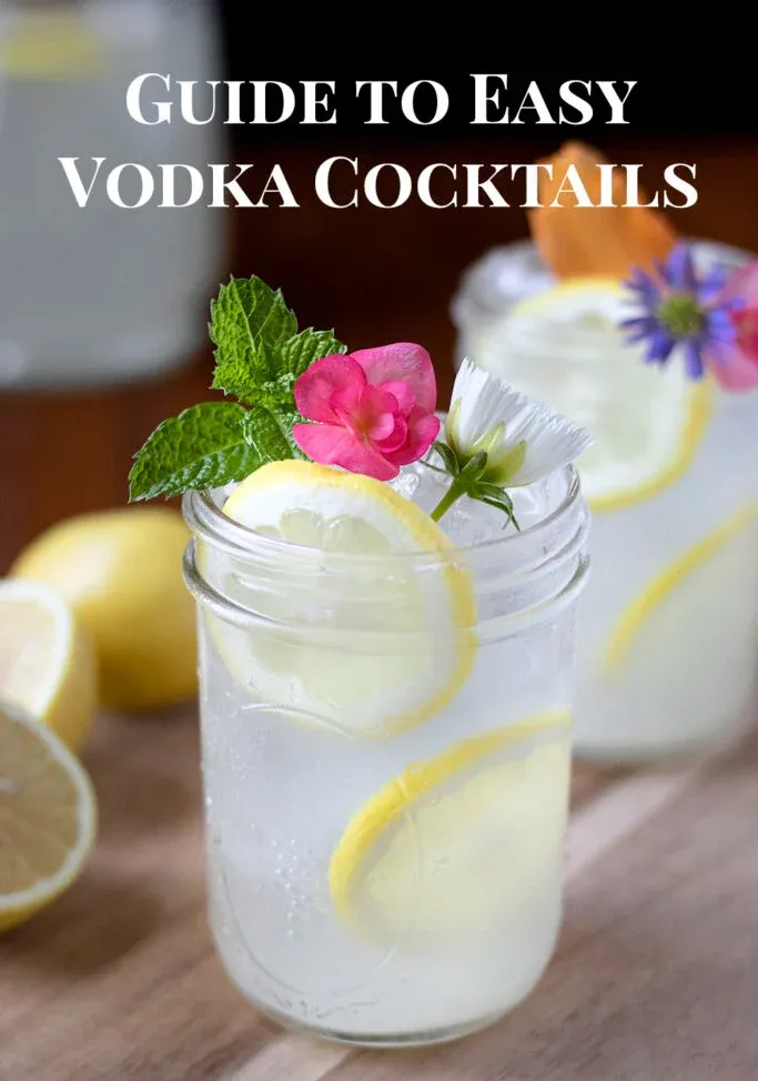 Guia para coquetéis fáceis de vodka' title=