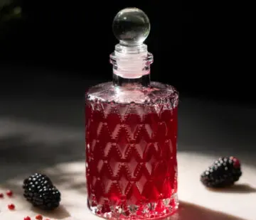 ブラックベリーとピンクペッパーの隣に赤い液体が入った小さなエッチングされたガラス瓶。' title=