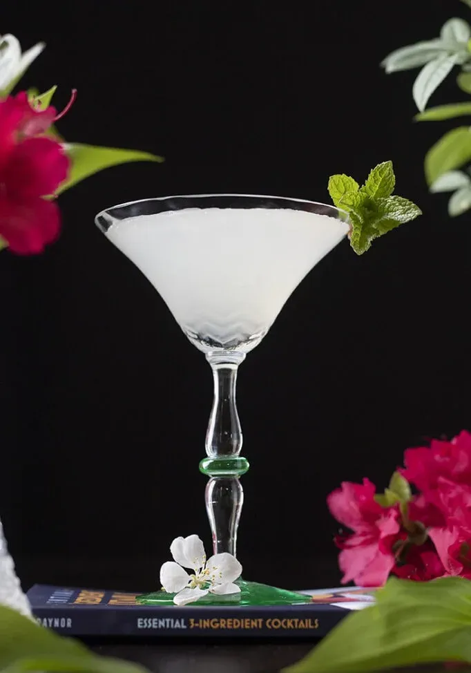 pohár na martini naplnený priesvitným čírym kokteilom a vetvičkou mäty.' title=