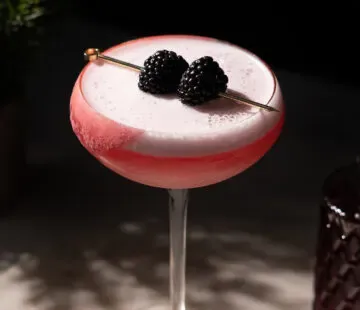 copo cupê cheio de líquido rosa e uma espuma branca decorada com duas amoras em uma palheta de coquetel.' title=