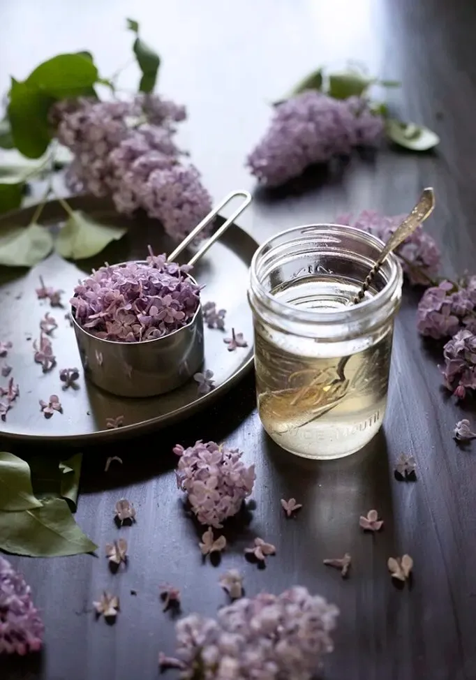 Wie man einfachen Fliedersirup herstellt' loading='lazy' title=