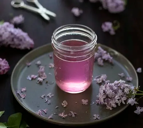Glas mit lila Flüssigkeit, umgeben von lila Blüten' title=