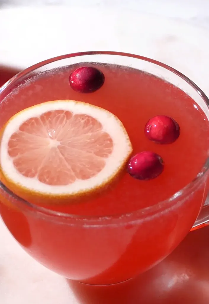 zbliżenie na czerwony płyn w szklanej filiżance z żurawiną i kółkiem cytrynowym.' title=