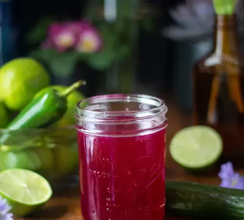 tarro de albañil de jarabe de fruta de dragón rosa oscuro.' title=