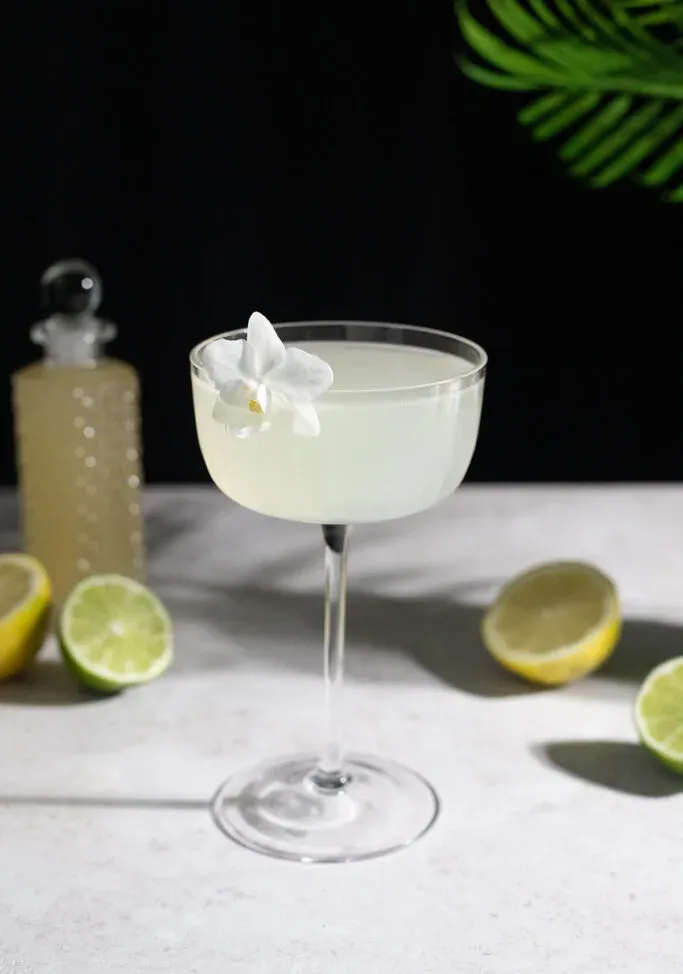 קוקטייל לבן חיוור עם קישוט סחלב.' title=