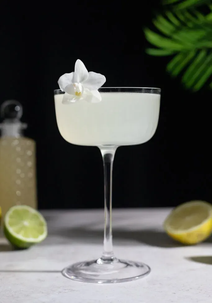 מתכון לקוקטייל וודקה לימון קל (3 מרכיבים)