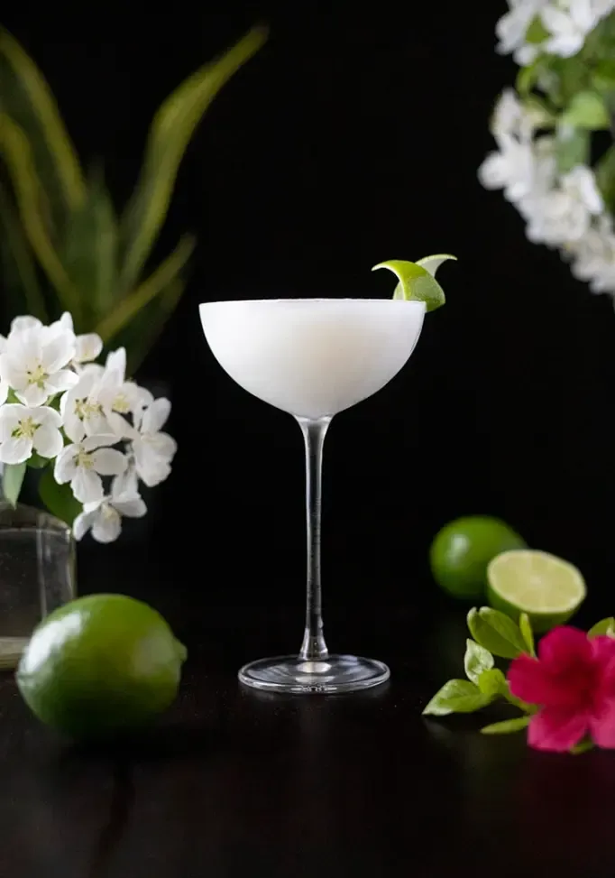 mrazený biely koktail v pohári kupé na čiernom pozadí s limetkami a bielymi kvetmi' title=