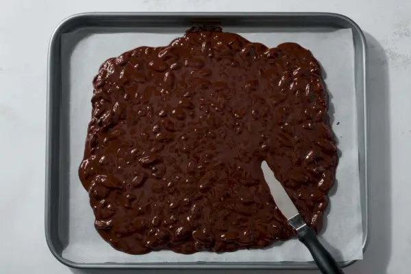 ダーク チョコレート バーク、ロースト アーモンドと種子入り