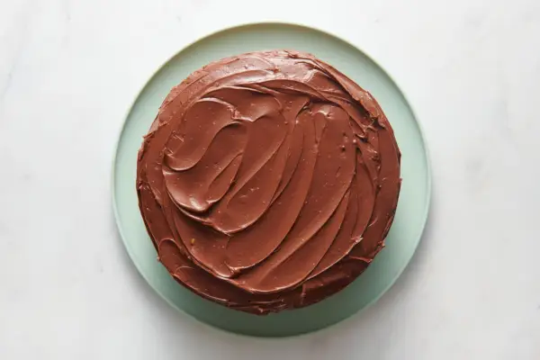 Une grande assiette avec un gâteau au chocolat glacé