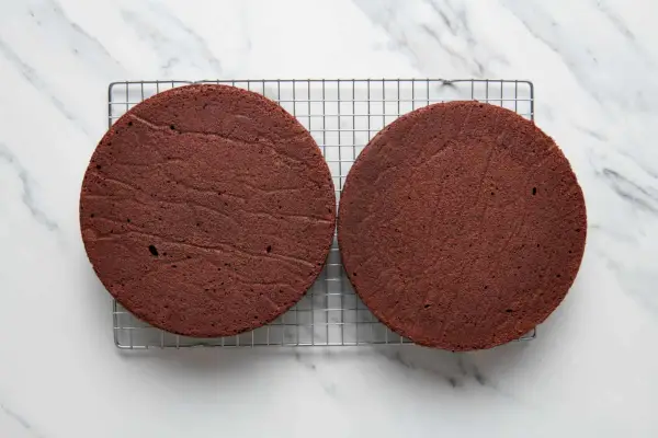 Gâteau au chocolat allemand