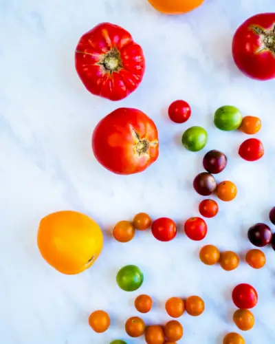 Alte Tomaten