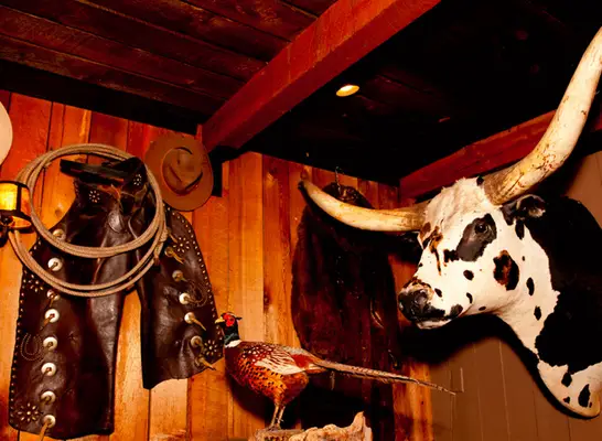 idaho pioneer saloon