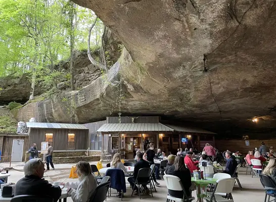 Il miglior ristorante tematico in ogni stato