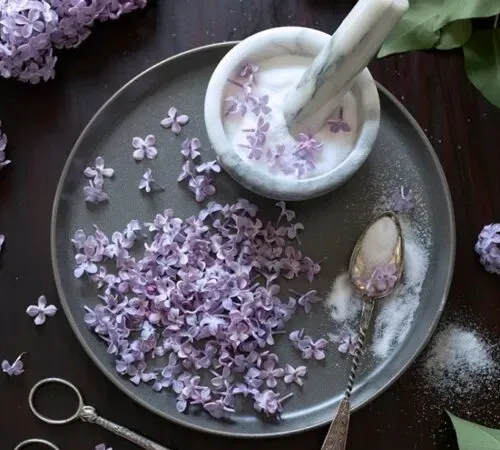 פרחי לילך סגולים ומכתש ועלי' title=