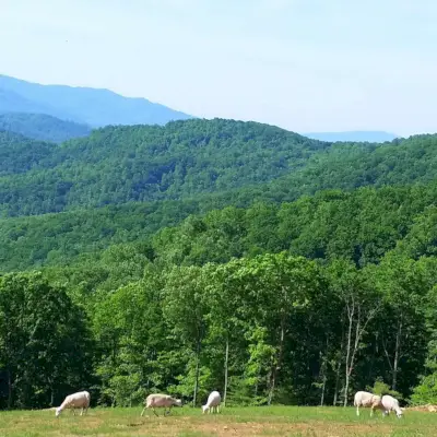 Winnice Ankida Ridge