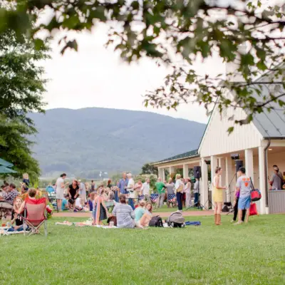 Winnice rodziny królewskiej