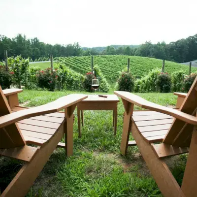 Winiarnia Potomac Point