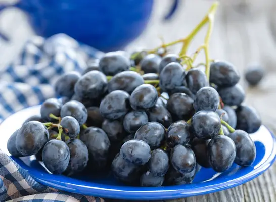 ¿Puede comer uvas ayudarlo a perder peso?