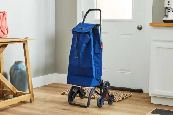 집 안에 서 있는 Blue Rolser 계단 오르기 롤링 카트