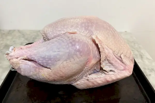 Surowy organiczny preria Organiczny cały indyk na patelni