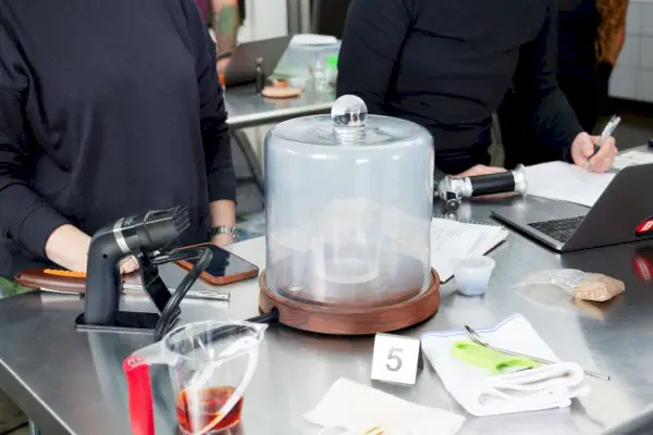 כוס מעושנת בתוך בית המלאכה על ידי Fortessa Cocktail Smoking Cloche