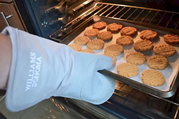Williams Sonoma Ofenhandschuh
