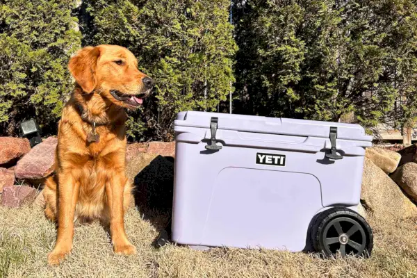 Cane seduto accanto al frigorifero con ruote Yeti Tundra Haul all'esterno