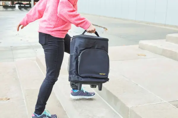 Persona che trasporta il frigorifero dbest Ultra Compact Cooler su per le scale