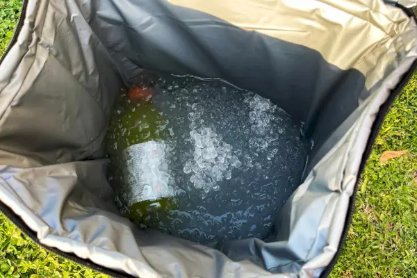 Prodotti dbest Borsa frigo ultra compatta riempita con ghiaccio e bevande