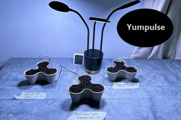 As 5 melhores luzes de cultivo para um jardim interno durante todo o ano