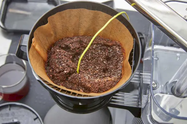 Close dos grãos de café da cafeteira Technivorm Moccamaster KBGV de 10 xícaras