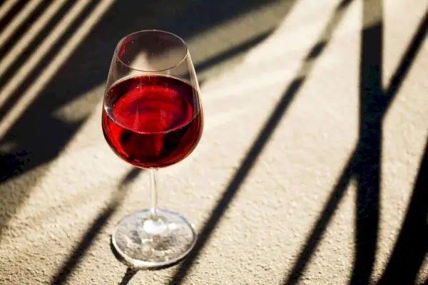 Dolcetto에 대해 알아야 할 모든 것
